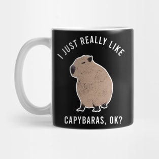 i just really like Capybaras Mug